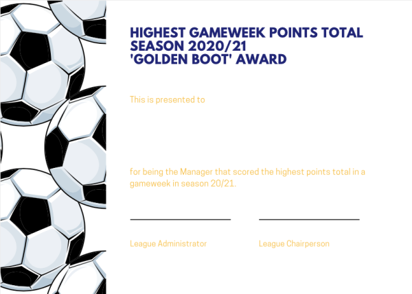 FW mini-league golden boot award